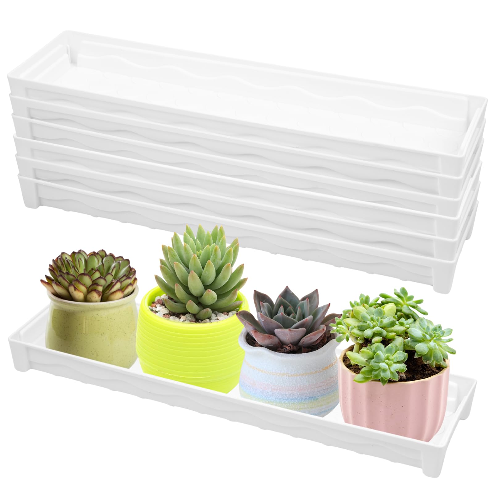 Amazon.com : 6 PCS Plastic Plant Tray Saucer, Rectangular Window